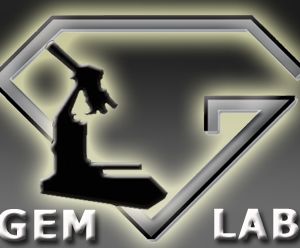 Gem Lab, Shant Purutoglu